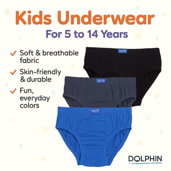 DOLPHIN Kids Cotton Briefs - Image 4